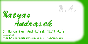 matyas andrasek business card